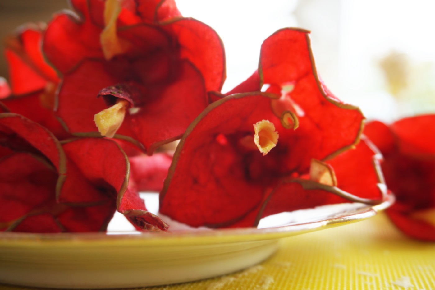 Scarlet Bougainvillea — 2