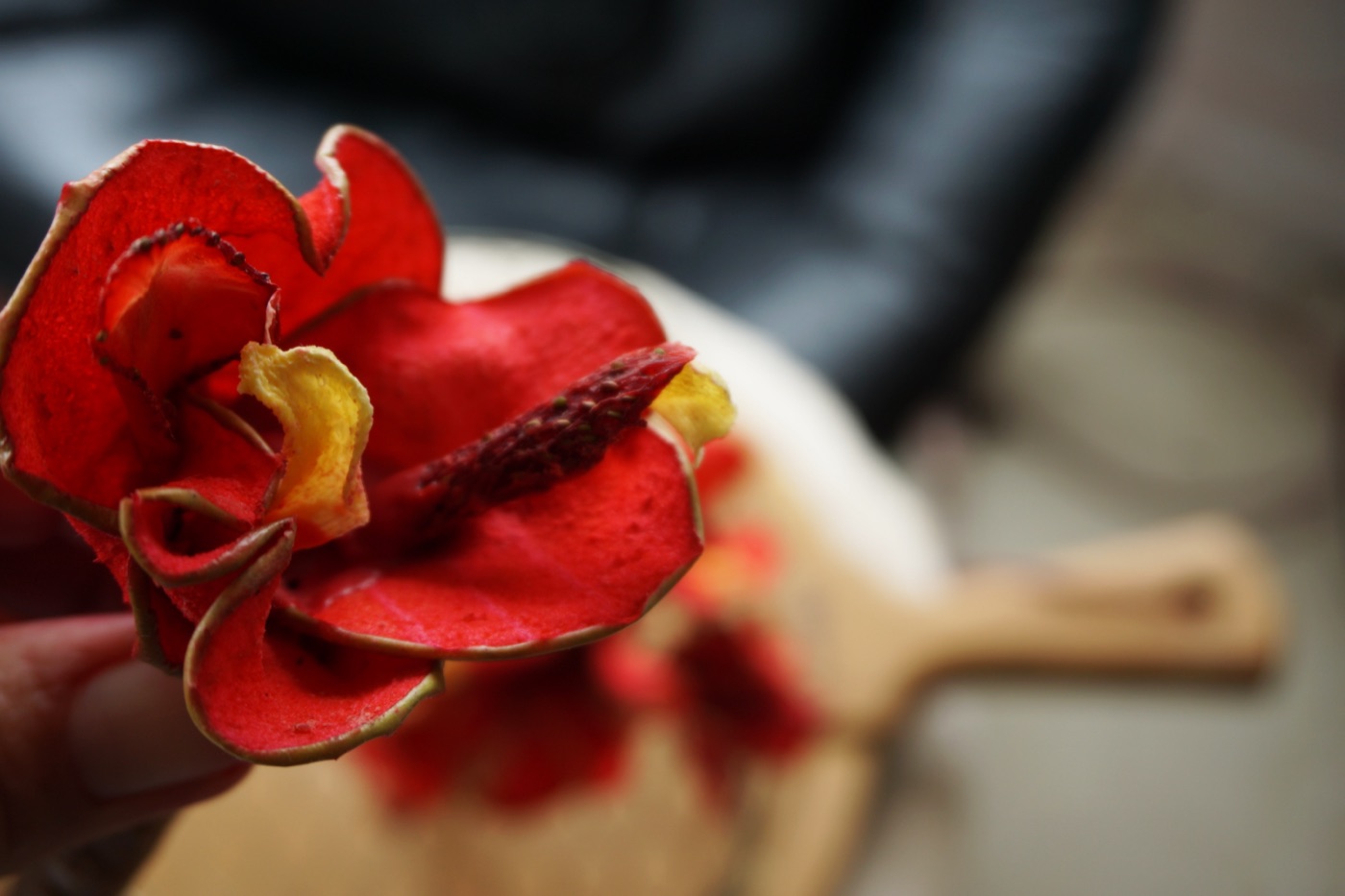 Scarlet Bougainvillea — 4