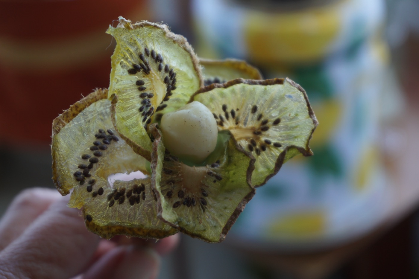 Kiwi Flower Bouquet — 2
