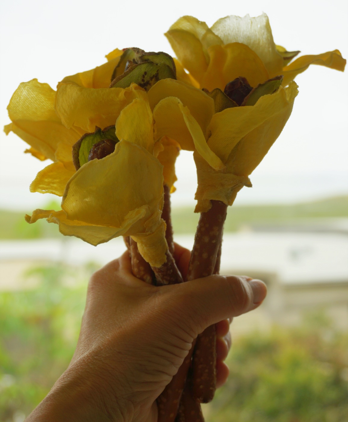 Mango Flower Bouquet — 2