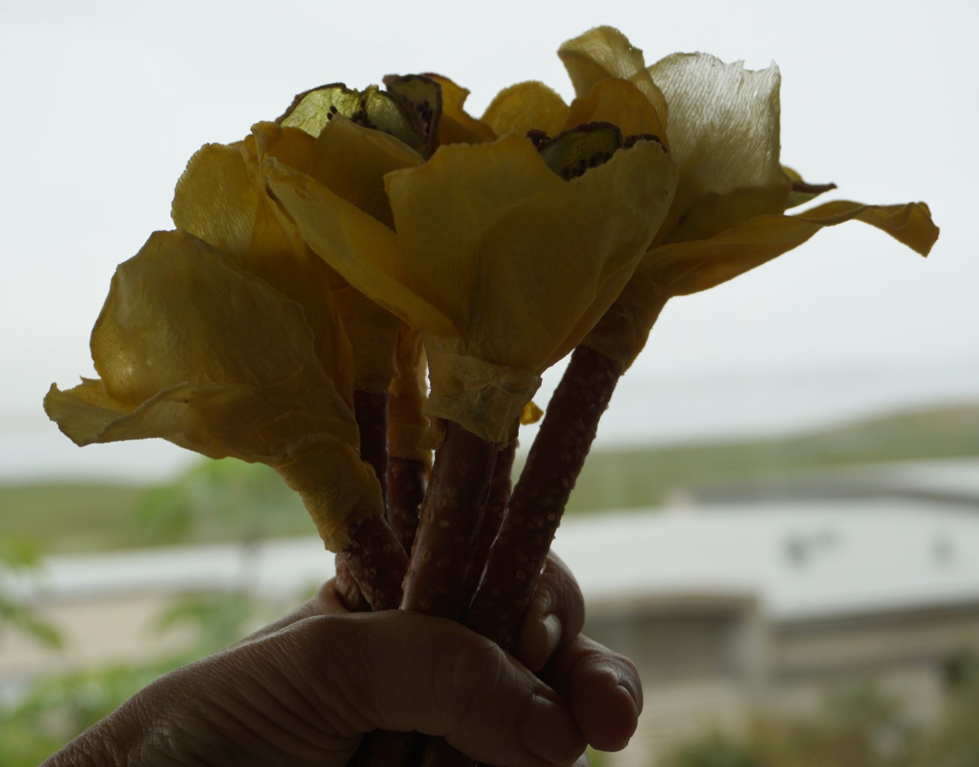 Mango Flower Bouquet — 3