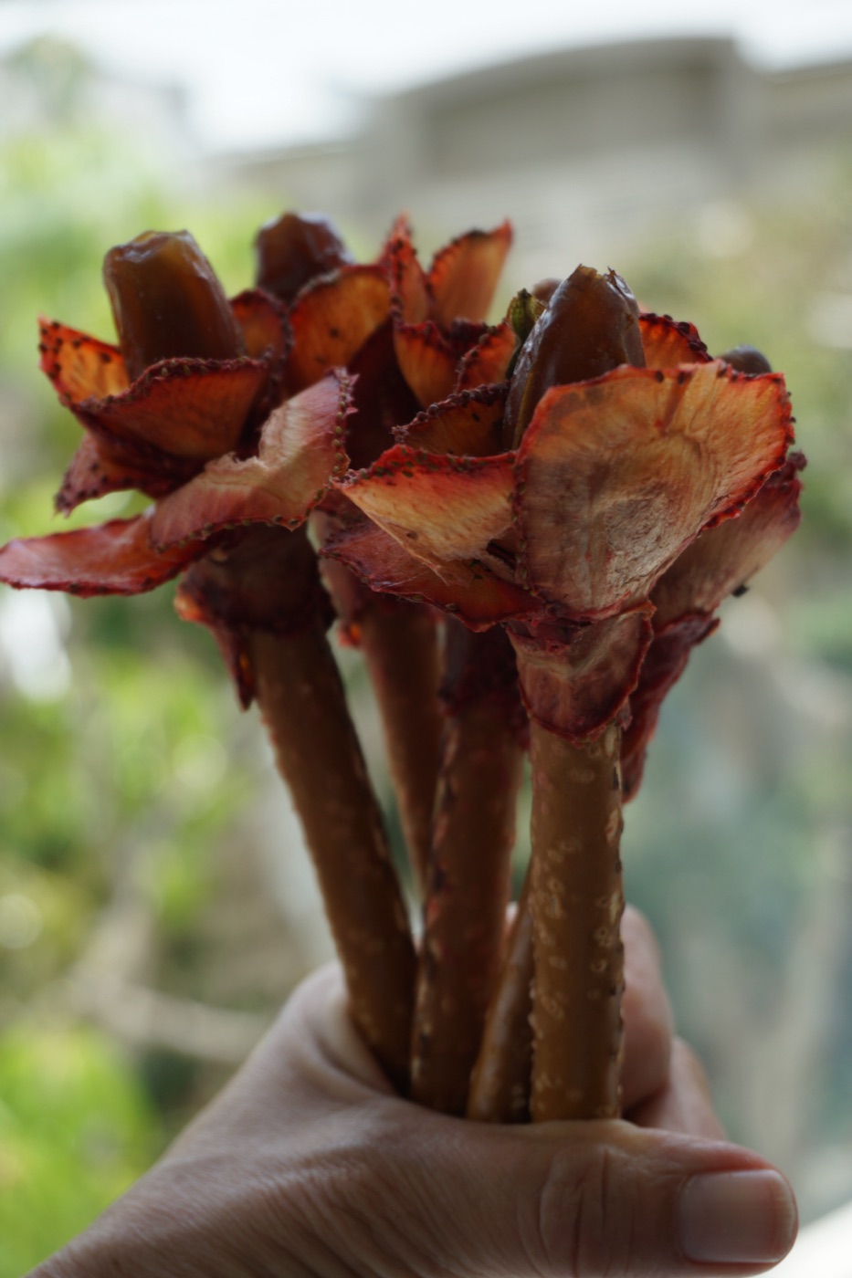 Strawberry Rose Bouquet — 11