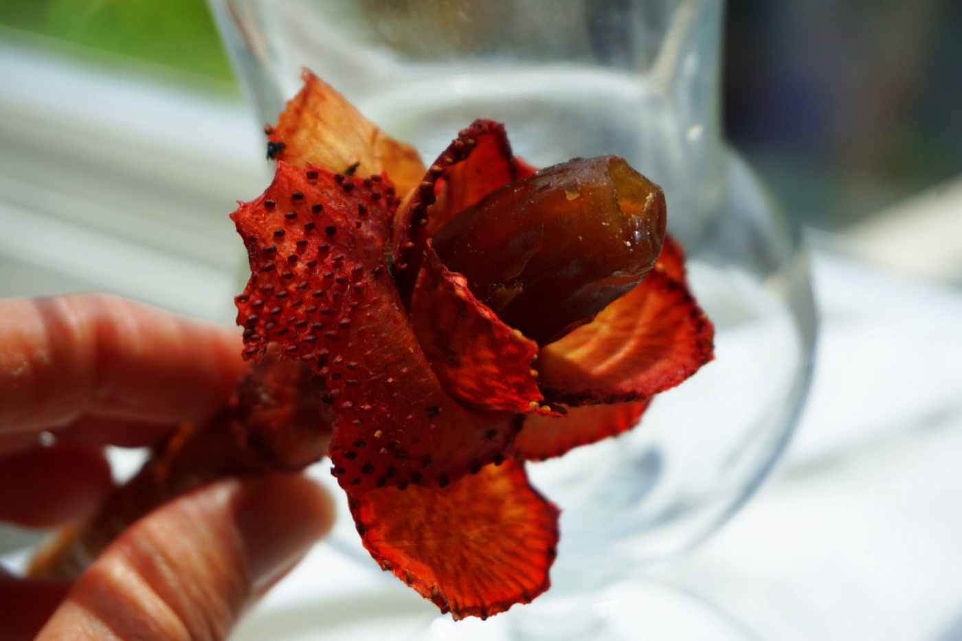 Strawberry Rose Bouquet — 8